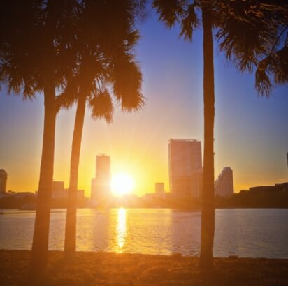 Sunset with Palm Tree