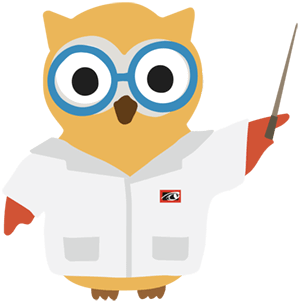 Cartoon owl with pointer