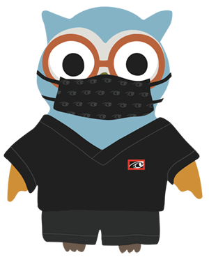 Owl cartoon with mask